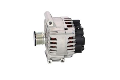 GENERATOR / ALTERNATOR REMANTE 011003000095R 13