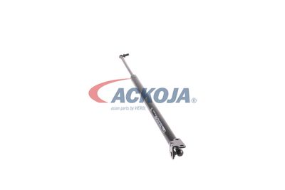 AMORTIZOR PORTBAGAJ ACKOJA A370097 47