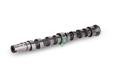 AX CU CAME Schaeffler INA 428017310 2