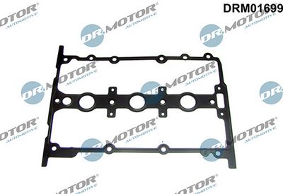 Těsnění, kryt hlavy válce LIZARTE DRM01699