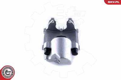 Brake Caliper 55SKV601