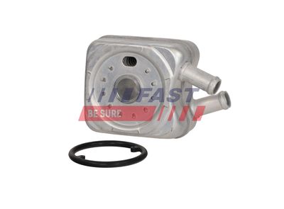 RADIATOR ULEI ULEI MOTOR FAST FT00655 21