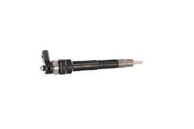 INJECTOR REMANTE 002003000034R 36