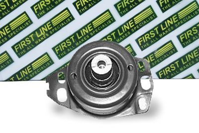 окачване, двигател FIRST LINE FEM3054