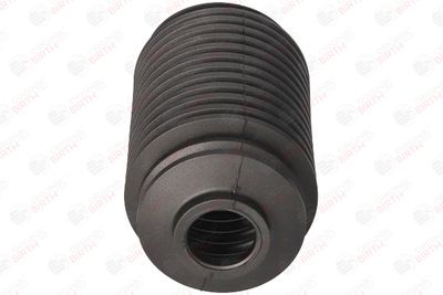 BURDUF CAUCIUC DIRECTIE BIRTH 7691 4