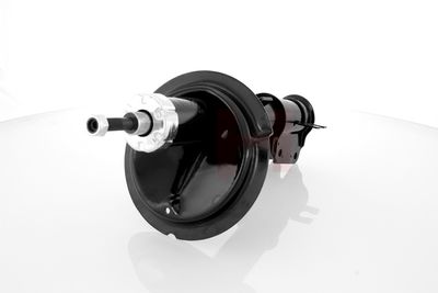 AMORTIZOR GH GH322355 13