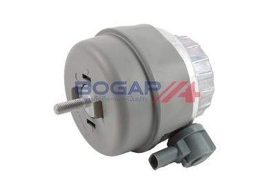 BOGAP Variklio montavimas
