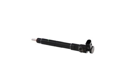 INJECTOR REMANTE 002003001411R 14