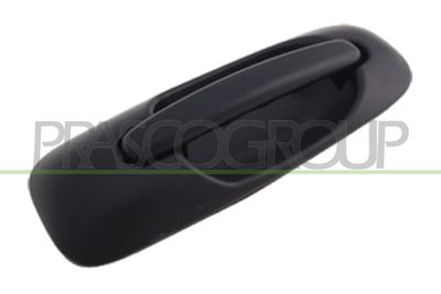 Дръжка външна врата PRASCO DG0058108