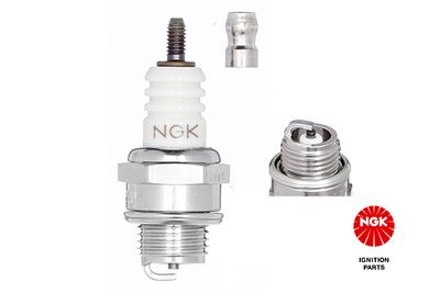 Spark Plug 5921