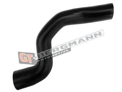GT-BERGMANN Automotive Kompresoriaus padavimo žarna
