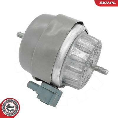 Variklio montavimas SKV GERMANY 75SKV212