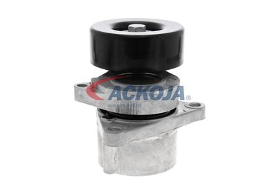 INTINZATOR CUREA CUREA DISTRIBUTIE ACKOJA A380332 23