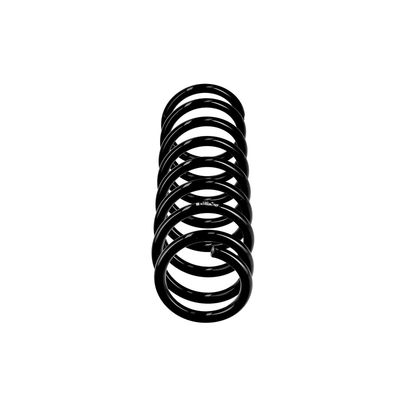 ARC SPIRAL EIBACH R10936 1