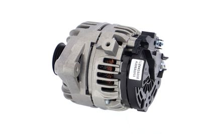 GENERATOR / ALTERNATOR REMANTE 011003000007R 17