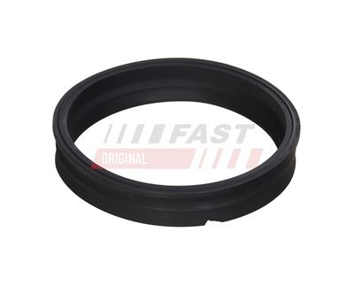 Těsnění, snímač paliva FAST FT48501