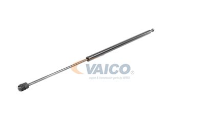 GASFEDER KOFFER-/LADERAUM VAICO V460438 31