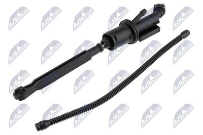 NSP-PE-010