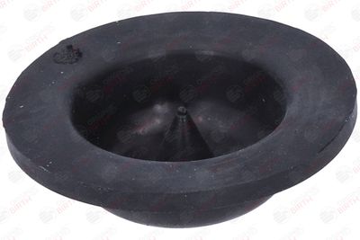 SAIBA ARC BIRTH 53805 4