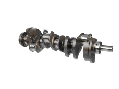 ARBORE COTIT ET ENGINETEAM HK0218 19