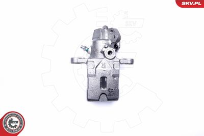 Brake Caliper 45SKV054