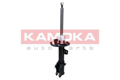 Shock Absorber 2000487