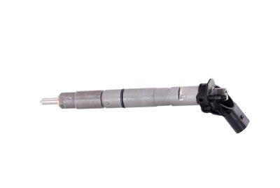 INJECTOR REMANTE 002003000171R 14