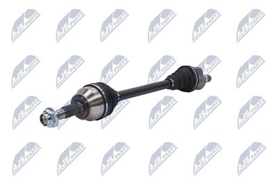 PLANETARA NTY NPWCT163 19