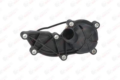 FLANSA LICHID RACIRE BIRTH 80179 1