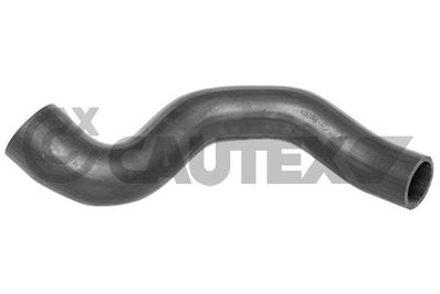CAUTEX 754565 Турбина  для LAND ROVER RANGE ROVER III (L322) 3.6 D 4x4