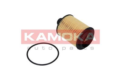 Oil Filter F111601