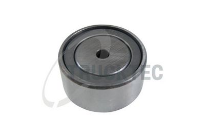 ROLA GHIDARE/CONDUCERE CUREA DISTRIBUTIE