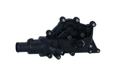 TERMOSTAT LICHID RACIRE NRF 725053 45