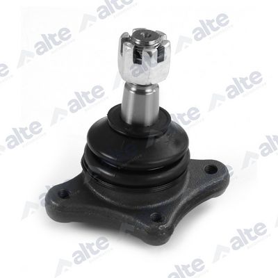 ARTICULATIE SARCINA/GHIDARE