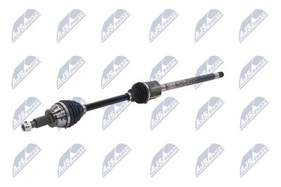 PLANETARA NTY NPWLR031 20