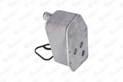 RADIATOR ULEI ULEI MOTOR BIRTH 80044 5