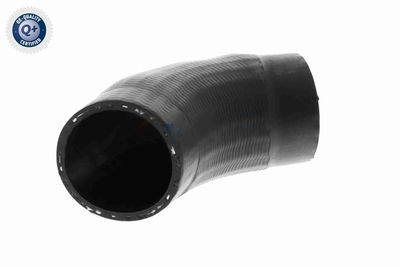 LADELUFTSCHLAUCH VAICO V201614 8