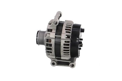 GENERATOR / ALTERNATOR REMANTE 011003000029R 17
