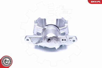 Brake Caliper 45SKV321