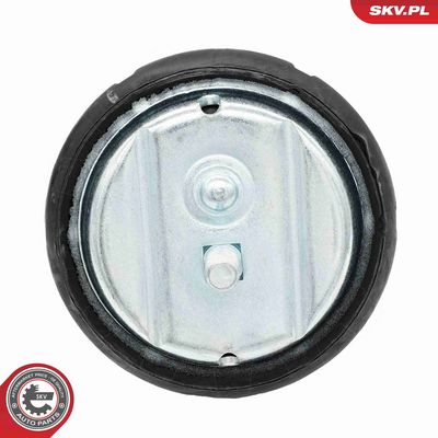 окачване, двигател ESEN SKV 75SKV188