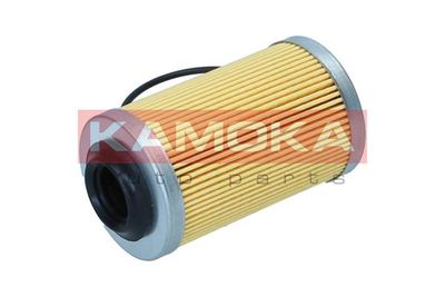 Oil Filter F125501