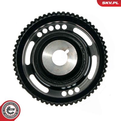 FULIE CUREA ARBORE COTIT ESEN SKV 95SKV320 2