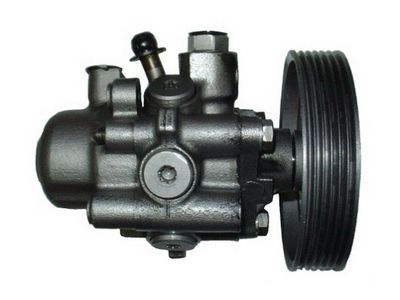 HYDRAULIKPUMPE LENKUNG SPIDAN 53598 2