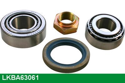 RADLAGERSATZ LUCAS LKBA63061