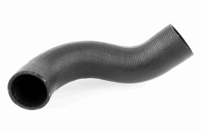 FURTUN EAR SUPRAALIMENTARE