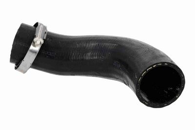 FURTUN EAR SUPRAALIMENTARE ACKOJA A520873 2