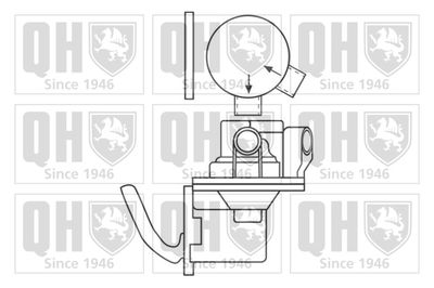 POMPA COMBUSTIBIL QUINTON HAZELL QFP118 1