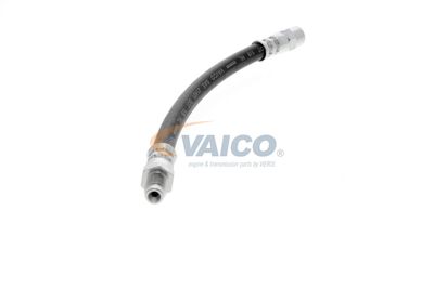 FURTUN FRANA VAICO V204114 41