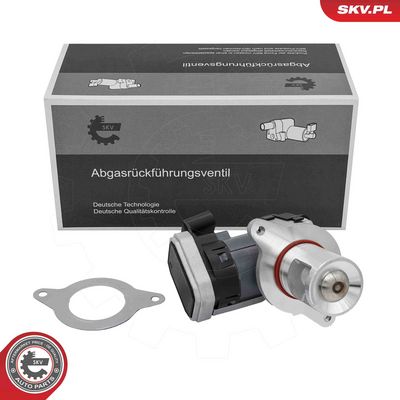 AGR-Ventil ESEN SKV 14SKV308