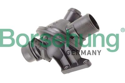 TERMOSTAT LICHID RACIRE Borsehung B10562